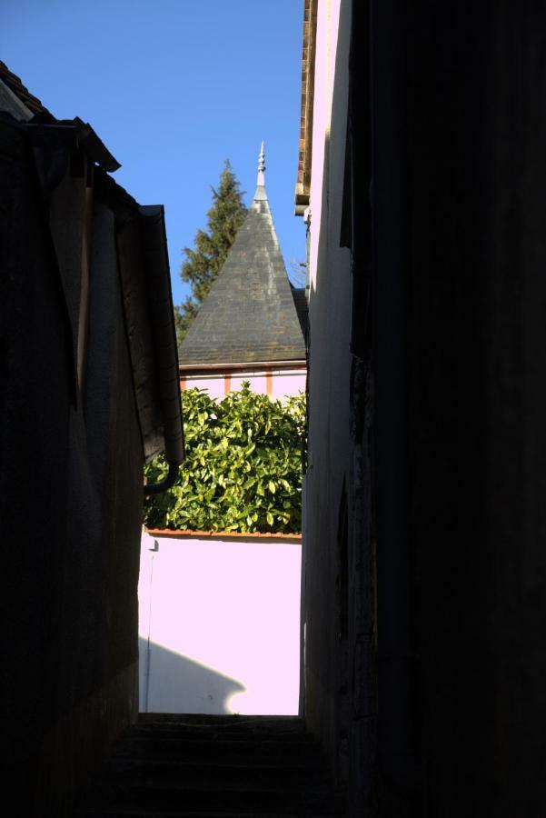 Gite "La Mesangerie" Château-Renard Exterior foto