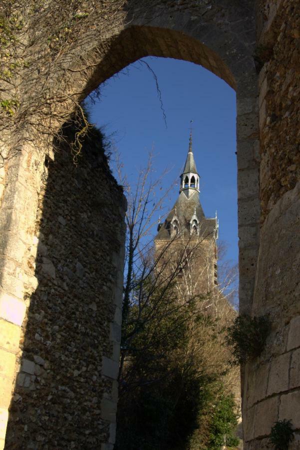 Gite "La Mesangerie" Château-Renard Exterior foto